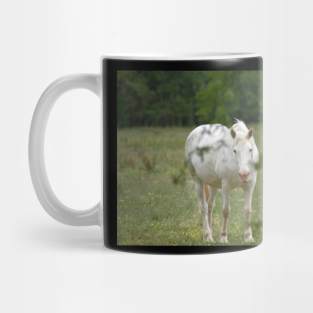 Wild Horse Mug